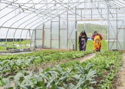 Local Foods Action Plan Lewiston Auburn